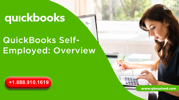 QuickBooks Self- Employed: Overview
