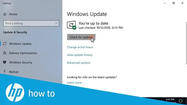 Updating MS windows